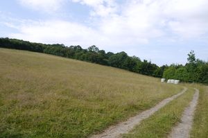 Photo 5- click for photo gallery